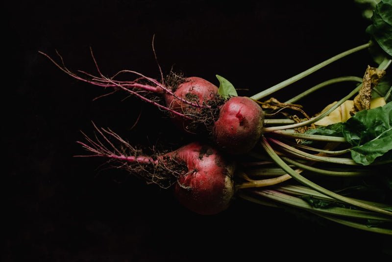 Unearthed beetroot vegetable with stems still intact laid out in leftward-pointing direction atop black background.
